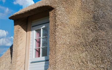 Sticker thatch roof disadvantages
